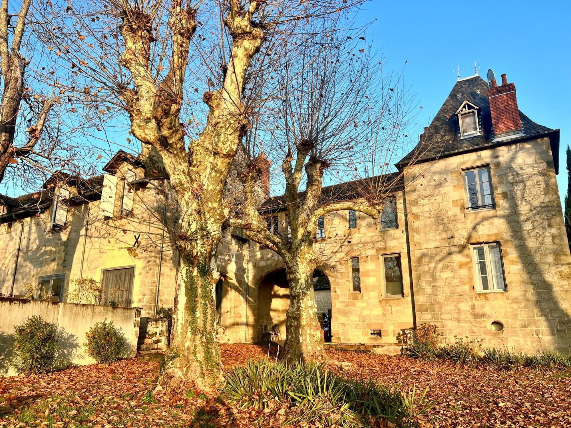 Hotel Chateau De Lacan ブリーブ・ラ ・ガイヤルド エクステリア 写真