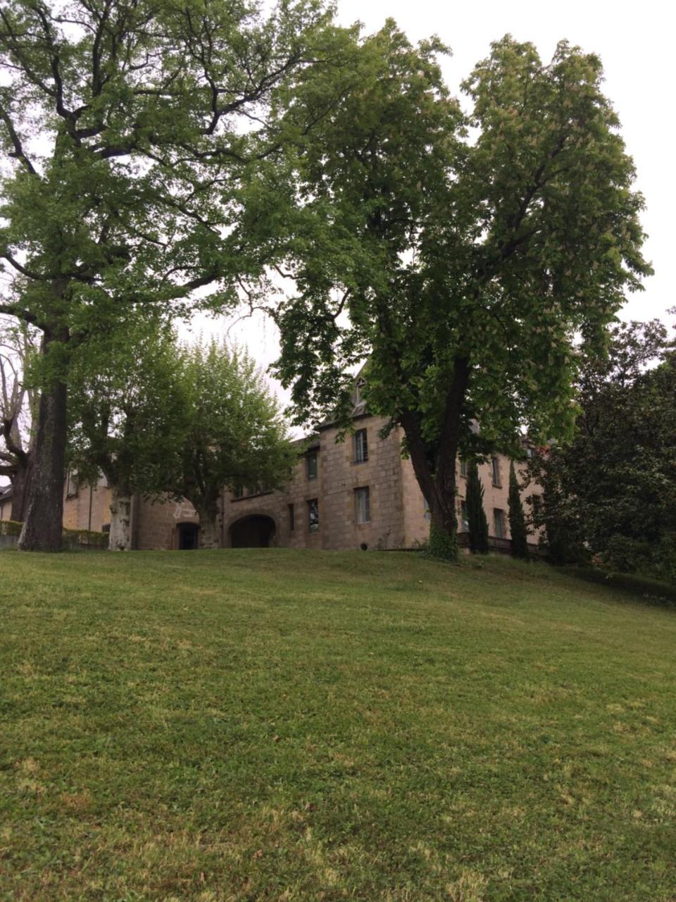 Hotel Chateau De Lacan ブリーブ・ラ ・ガイヤルド エクステリア 写真